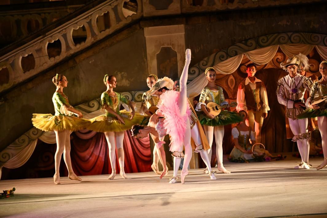 Šípková Růženka / Rosa Maria Pace / foto Michal Hančovský